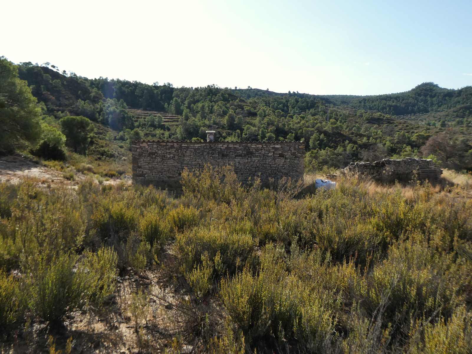 Finca en Venta en Maella