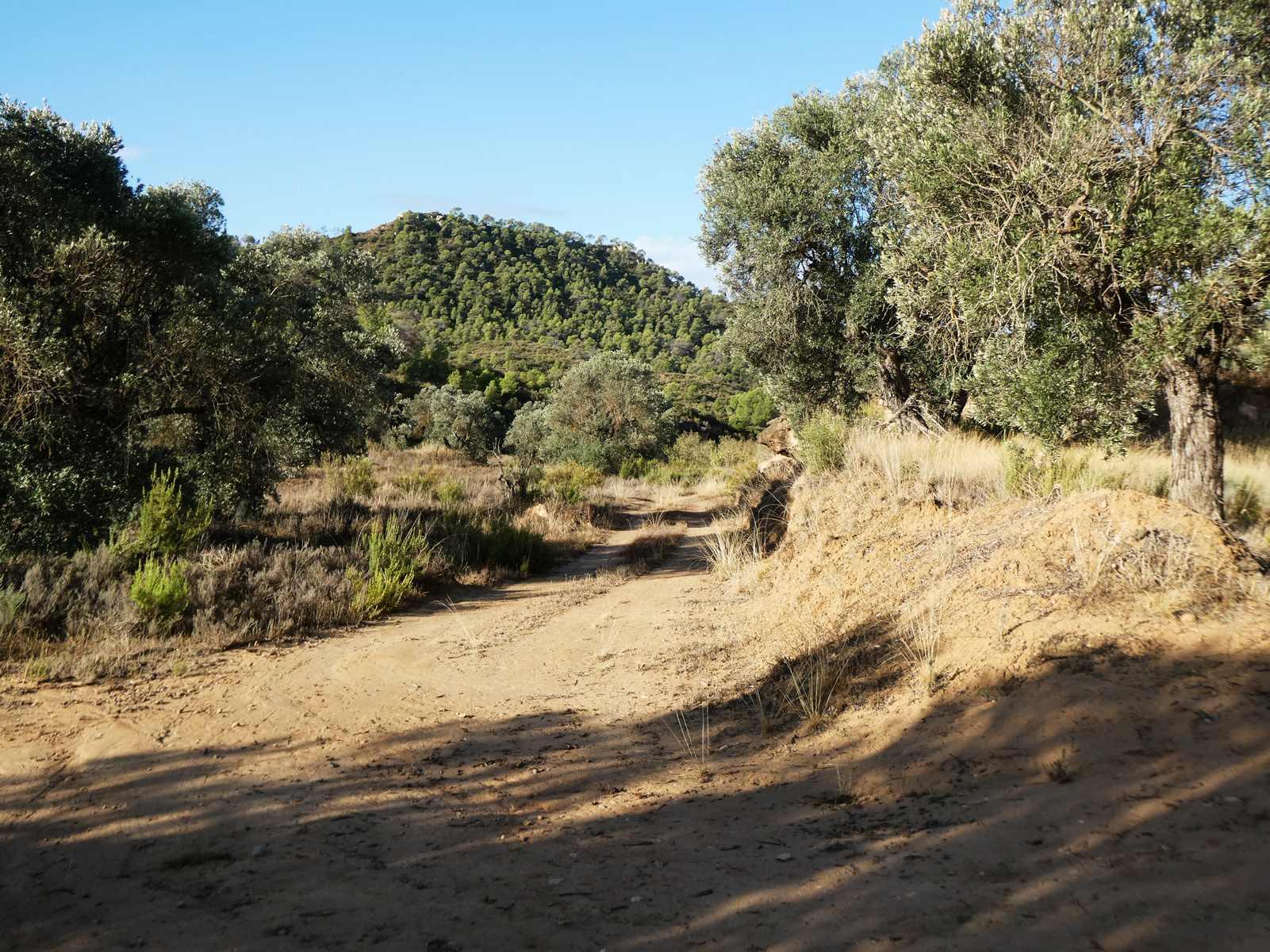Finca en Venta en Maella
