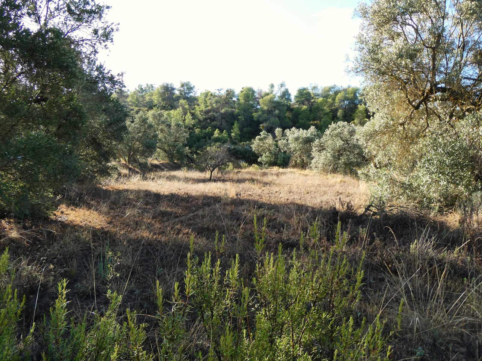 Finca en Venta en Maella