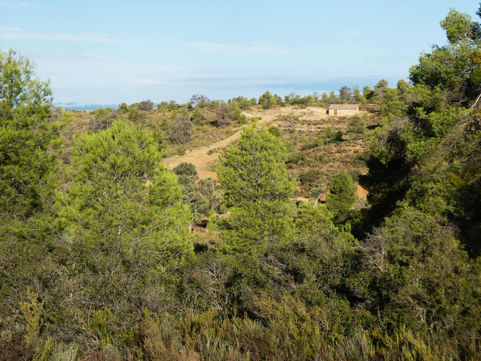 Finca en Venta en Maella