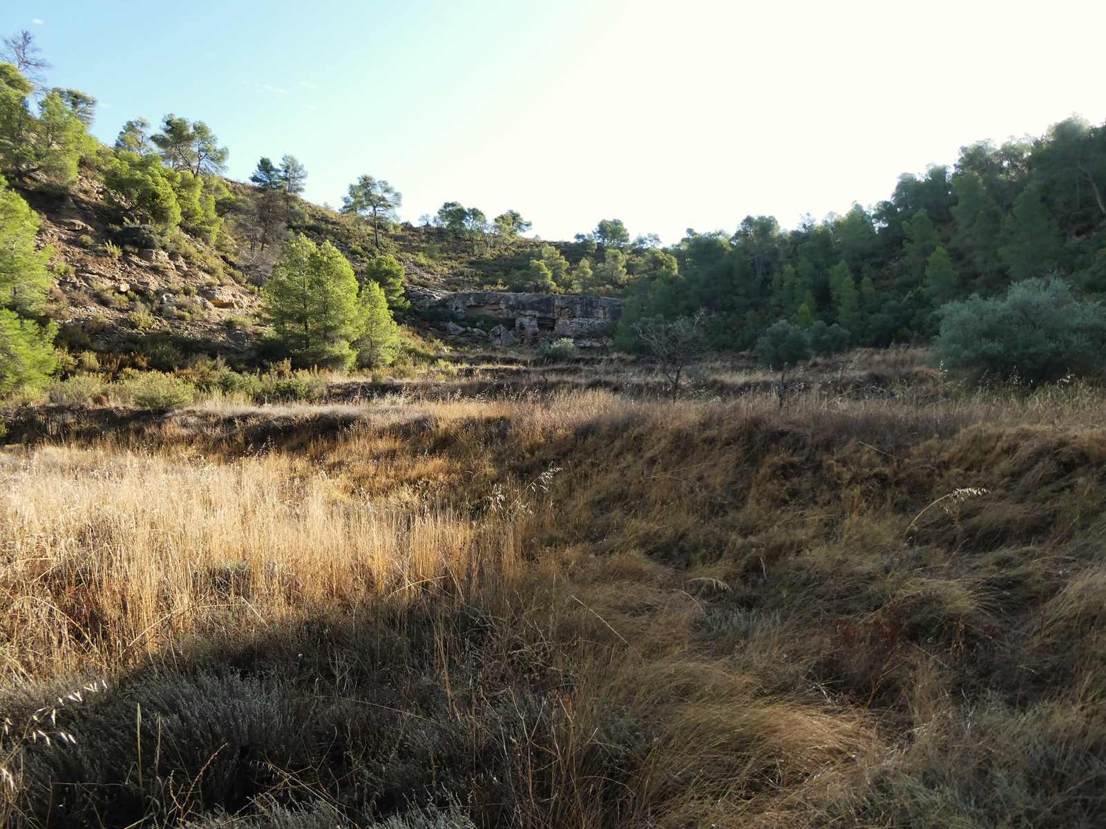 Finca en Venta en Maella