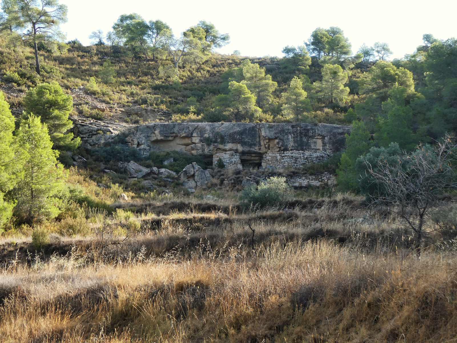 Finca en Venta en Maella