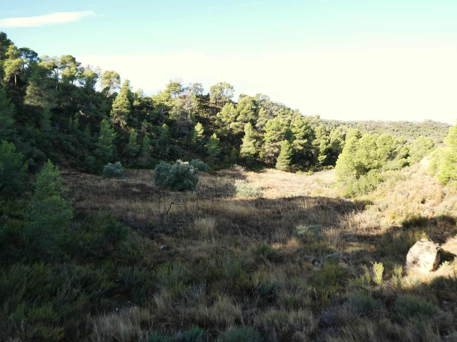 Finca en Venta en Maella