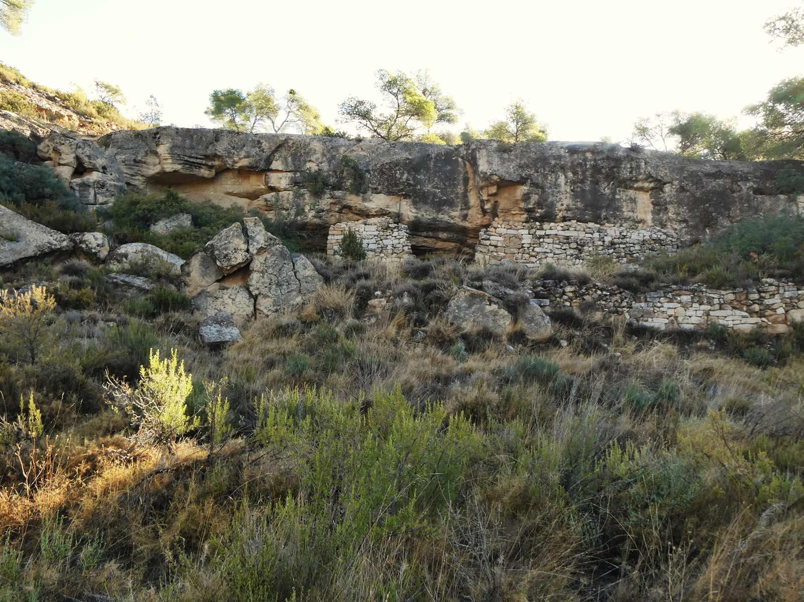 Finca en Venta en Maella