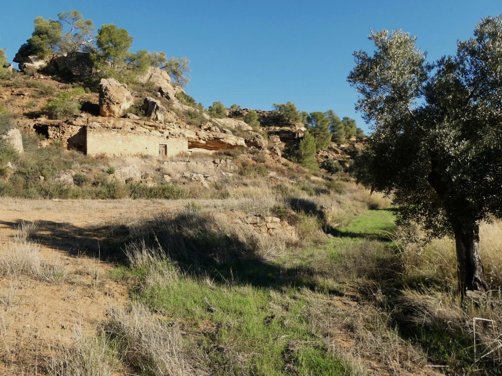 Finca en Venta en Fabara
