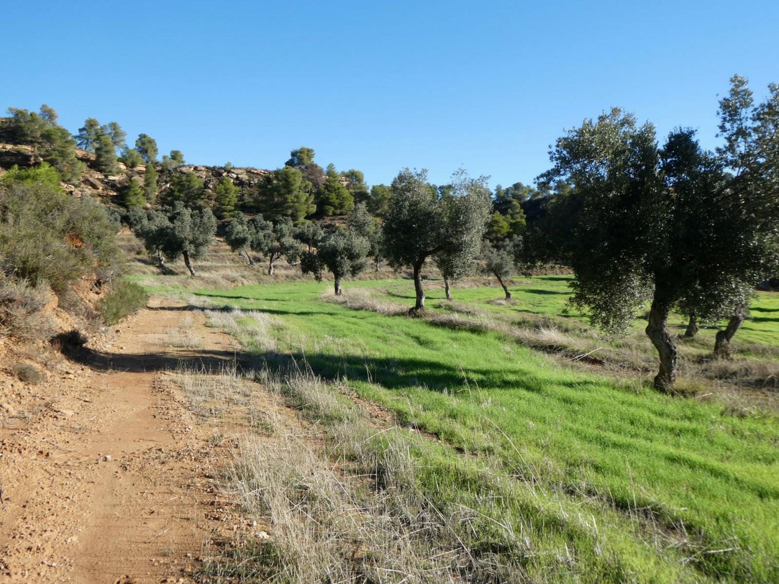 Finca en Venta en Fabara