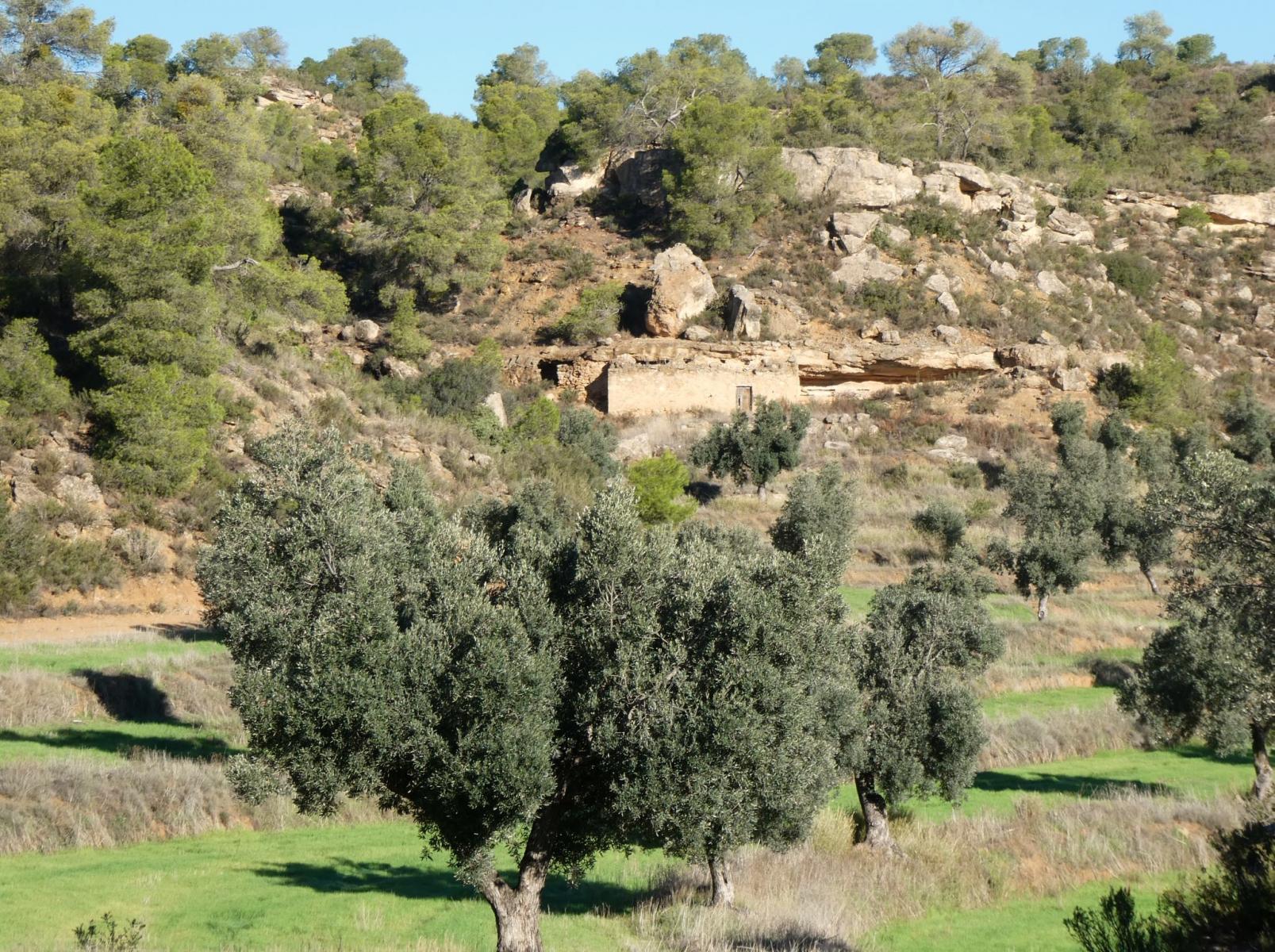 Finca en Venta en Fabara