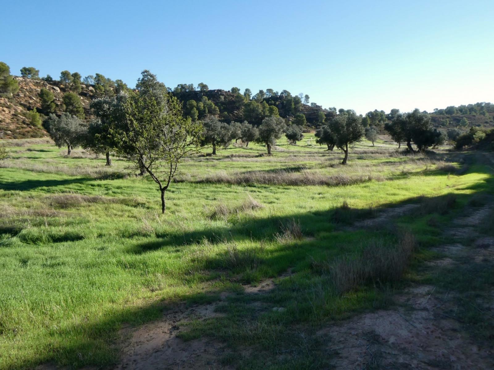 Finca en Venta en Fabara