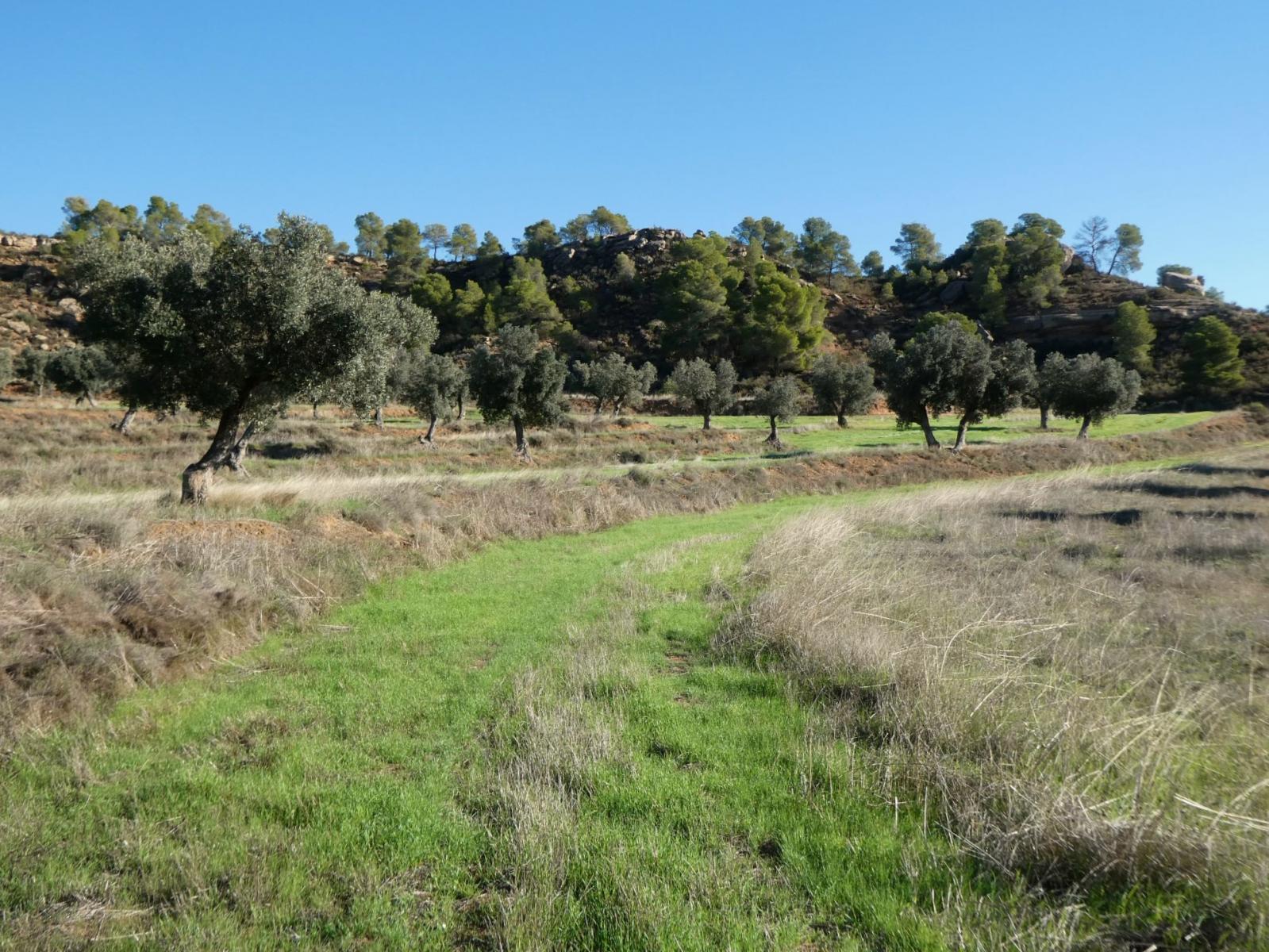 Finca en Venta en Fabara