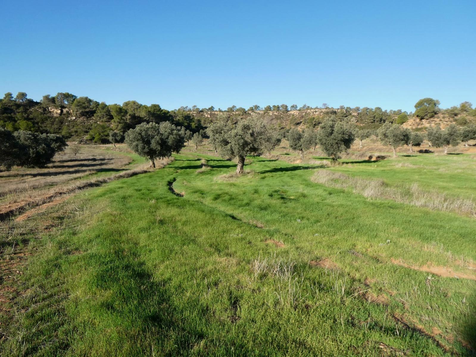 Finca en Venta en Fabara