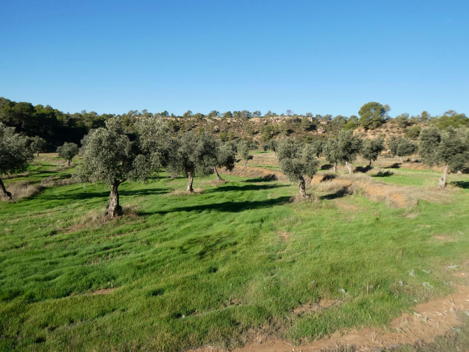 Finca en Venta en Fabara