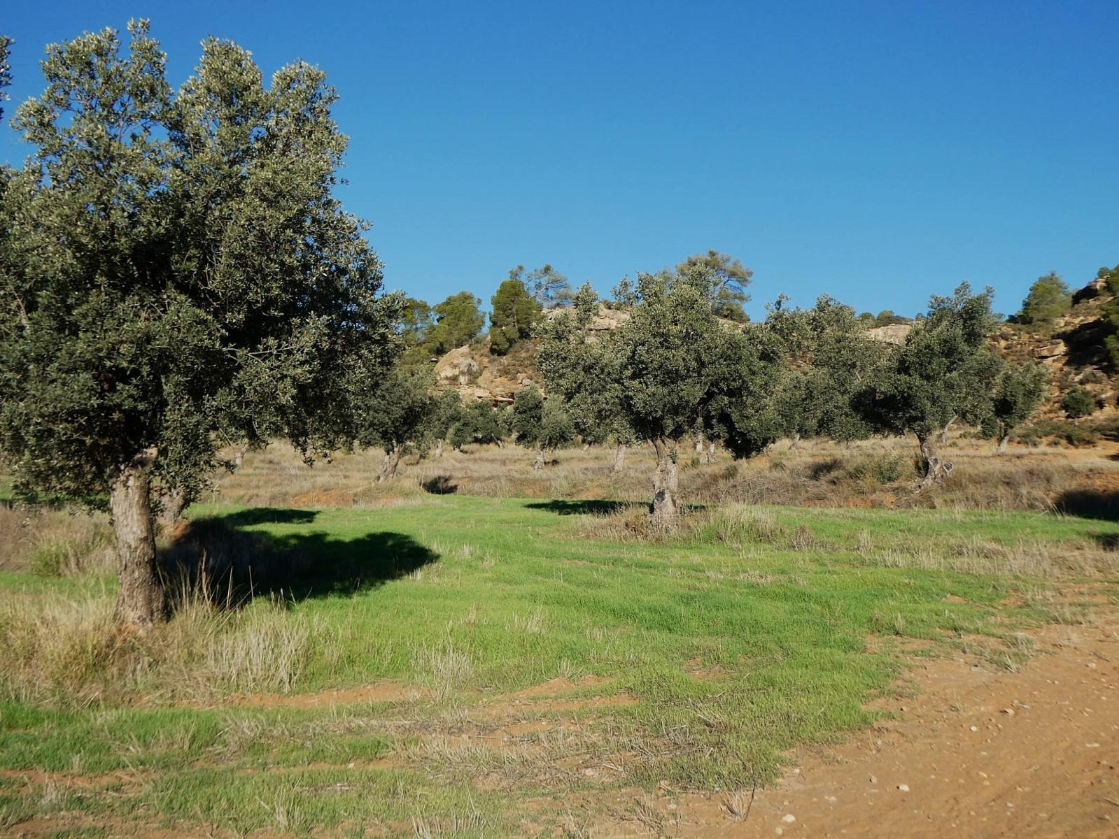 Finca en Venta en Fabara