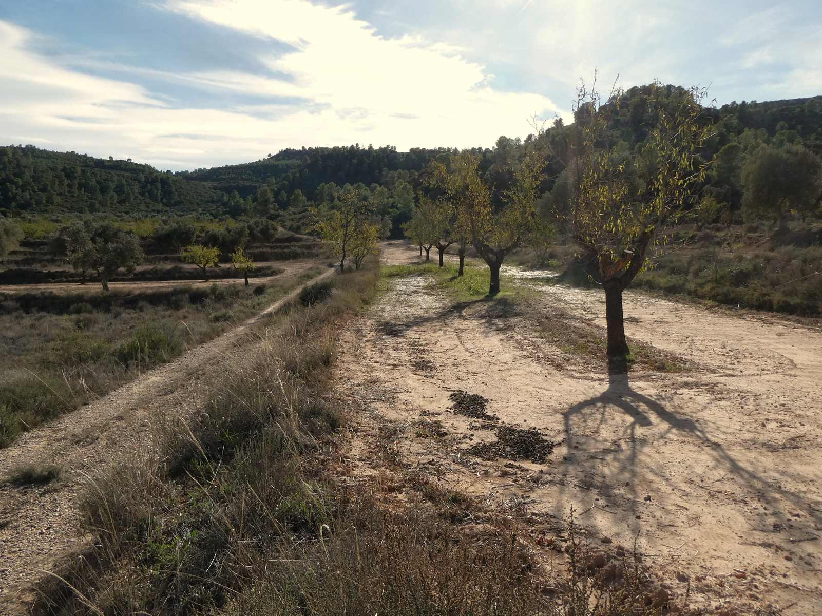 Finca en Venta en Maella