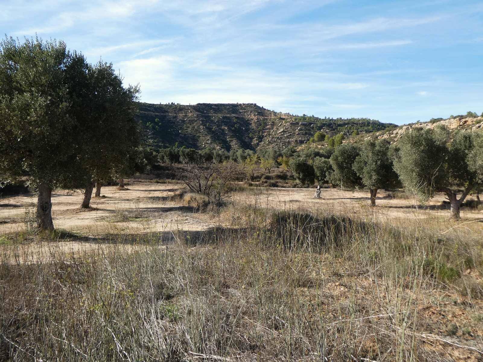Finca en Venta en Maella