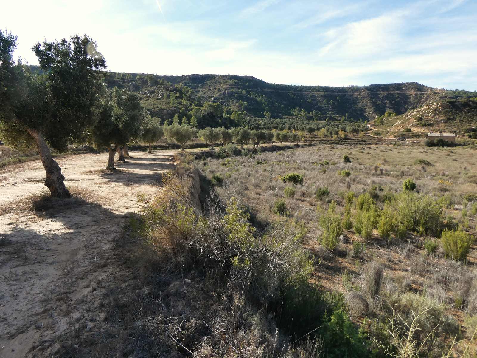 Finca en Venta en Maella