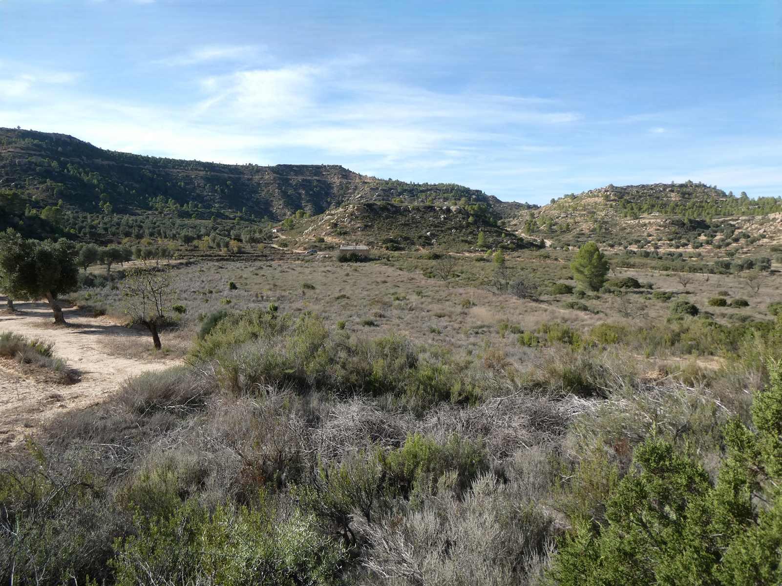 Finca en Venta en Maella