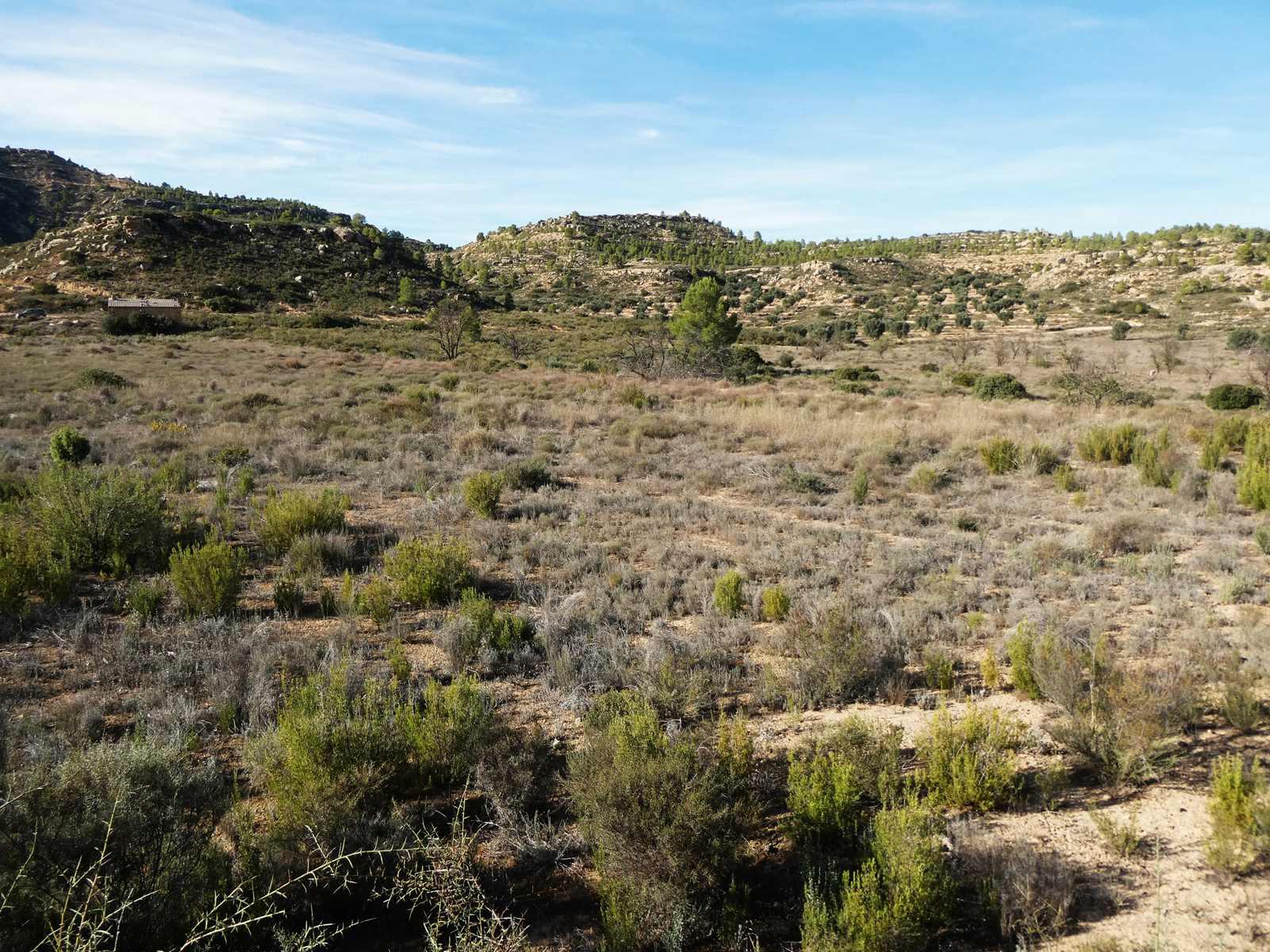 Finca en Venta en Maella