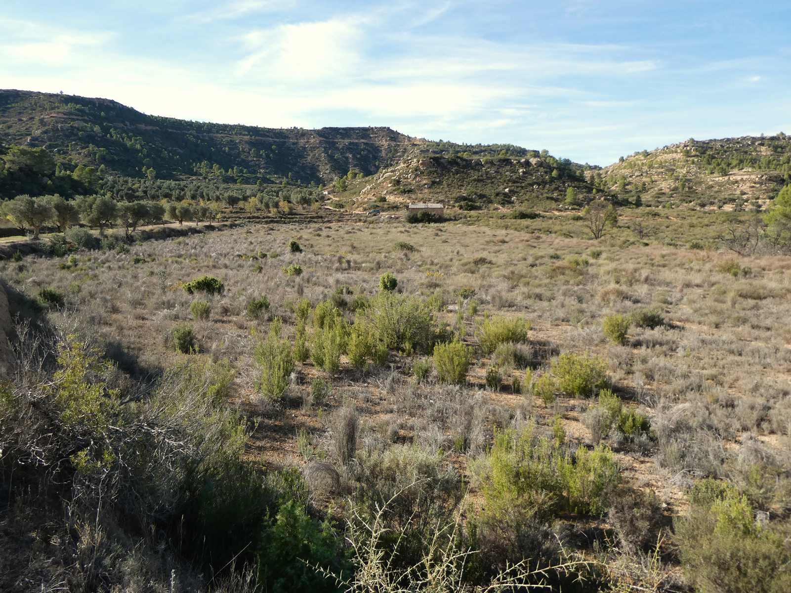 Finca en Venta en Maella