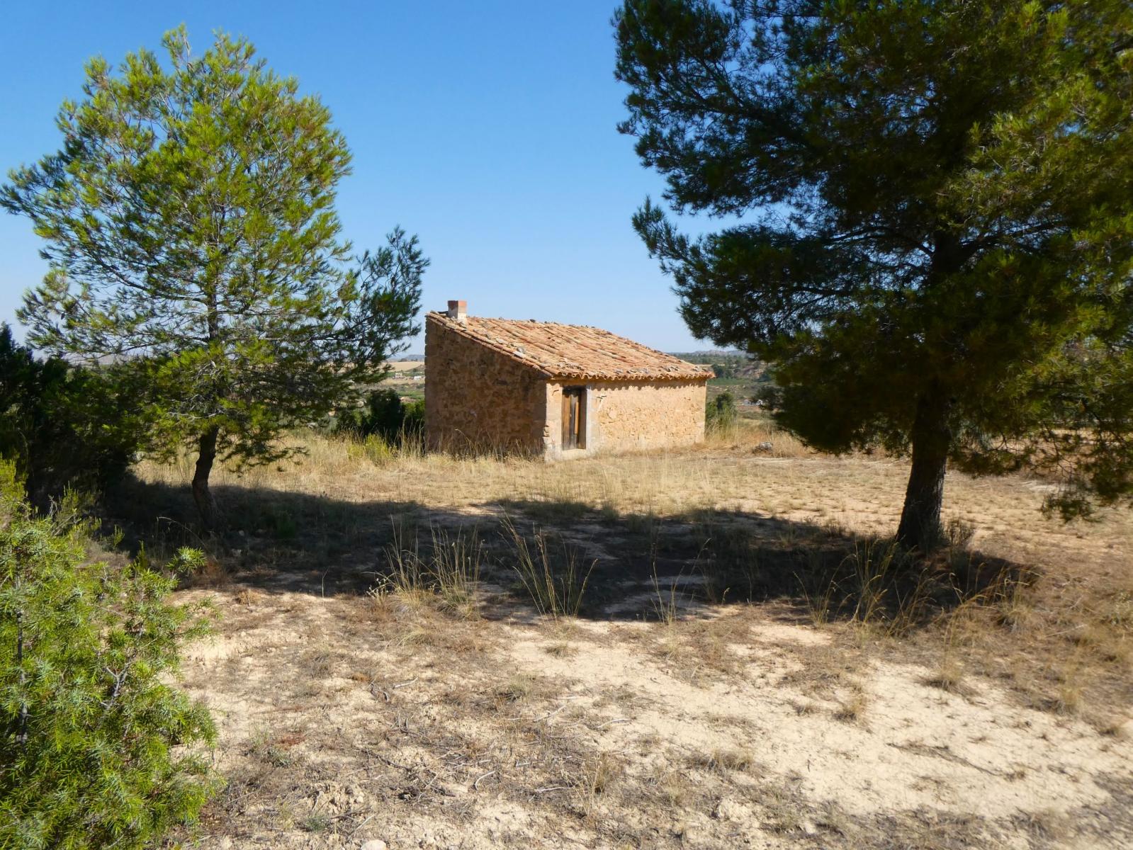Finca en Venta en Maella