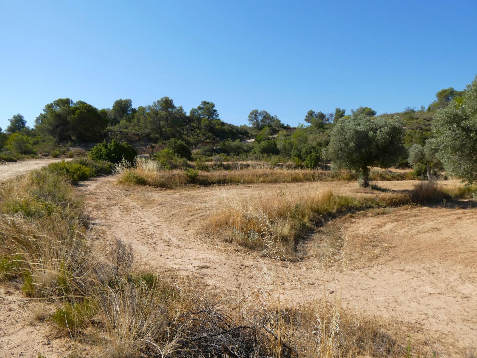 Finca en Venta en Maella