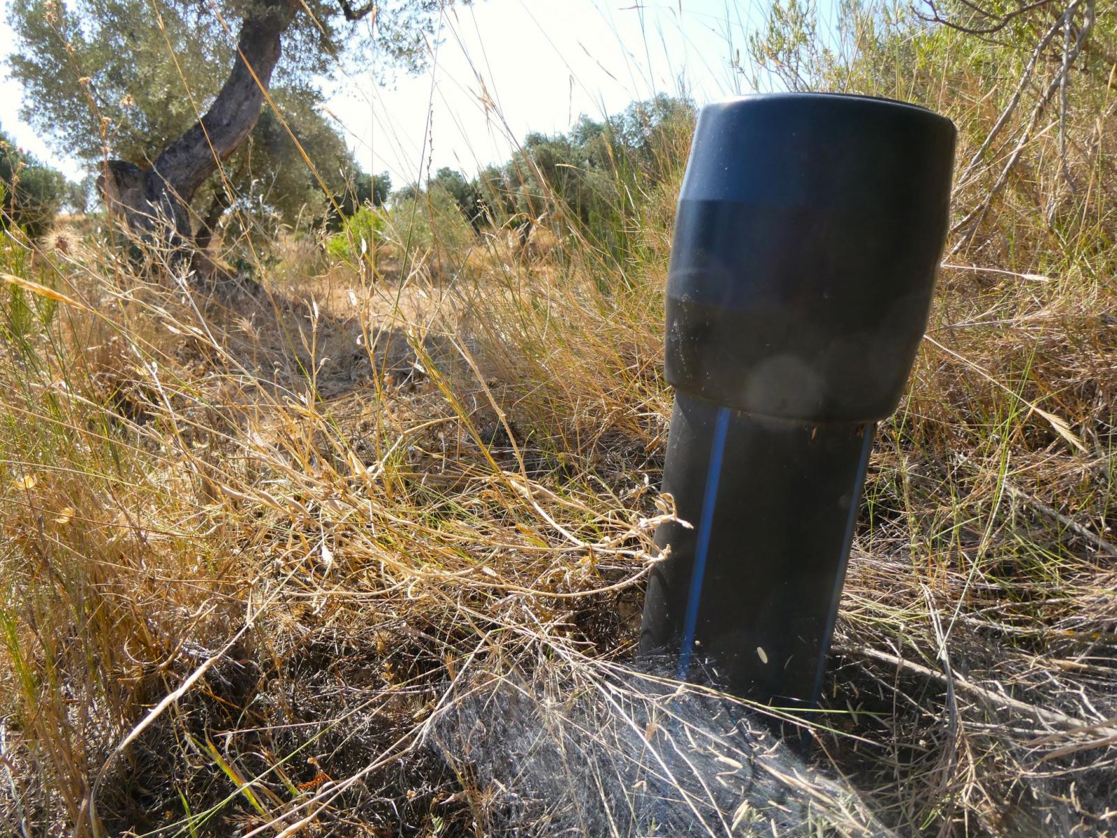 Finca en Venta en Maella