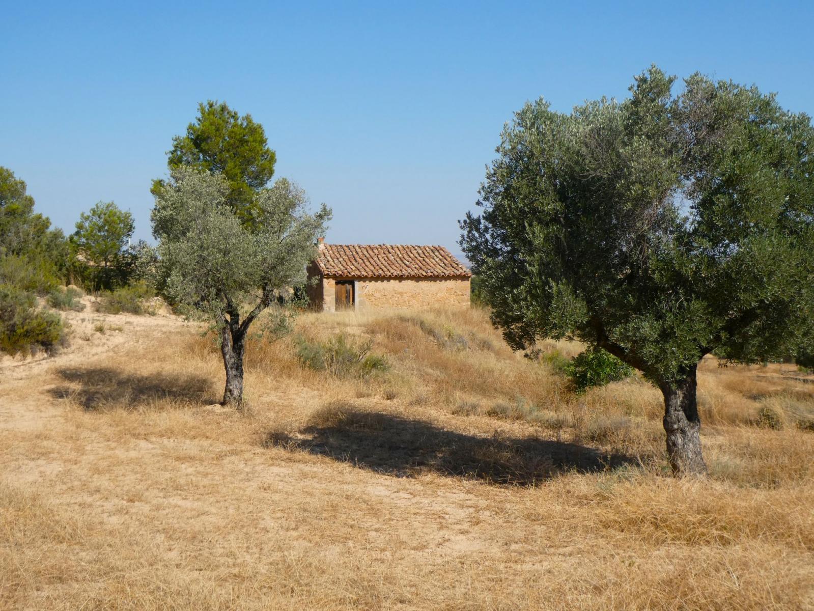 Finca en Venta en Maella