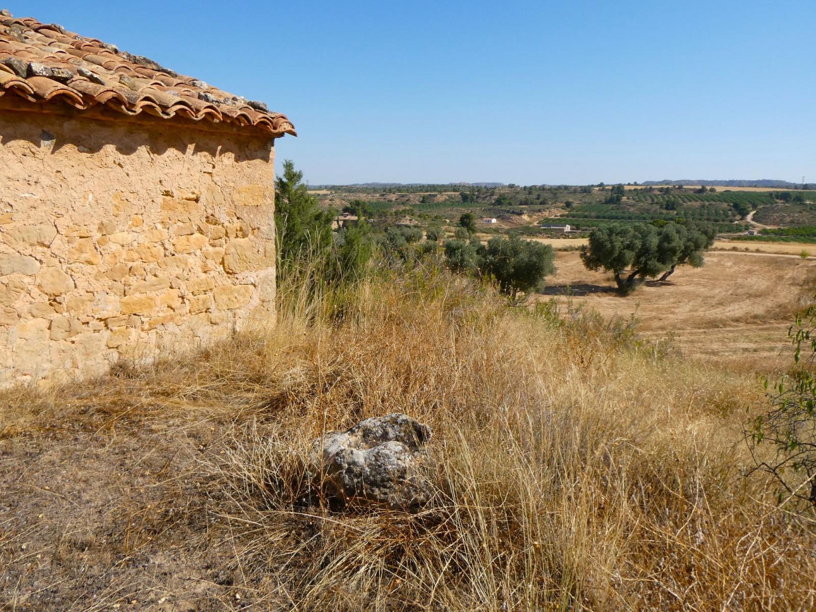 Finca en Venta en Maella