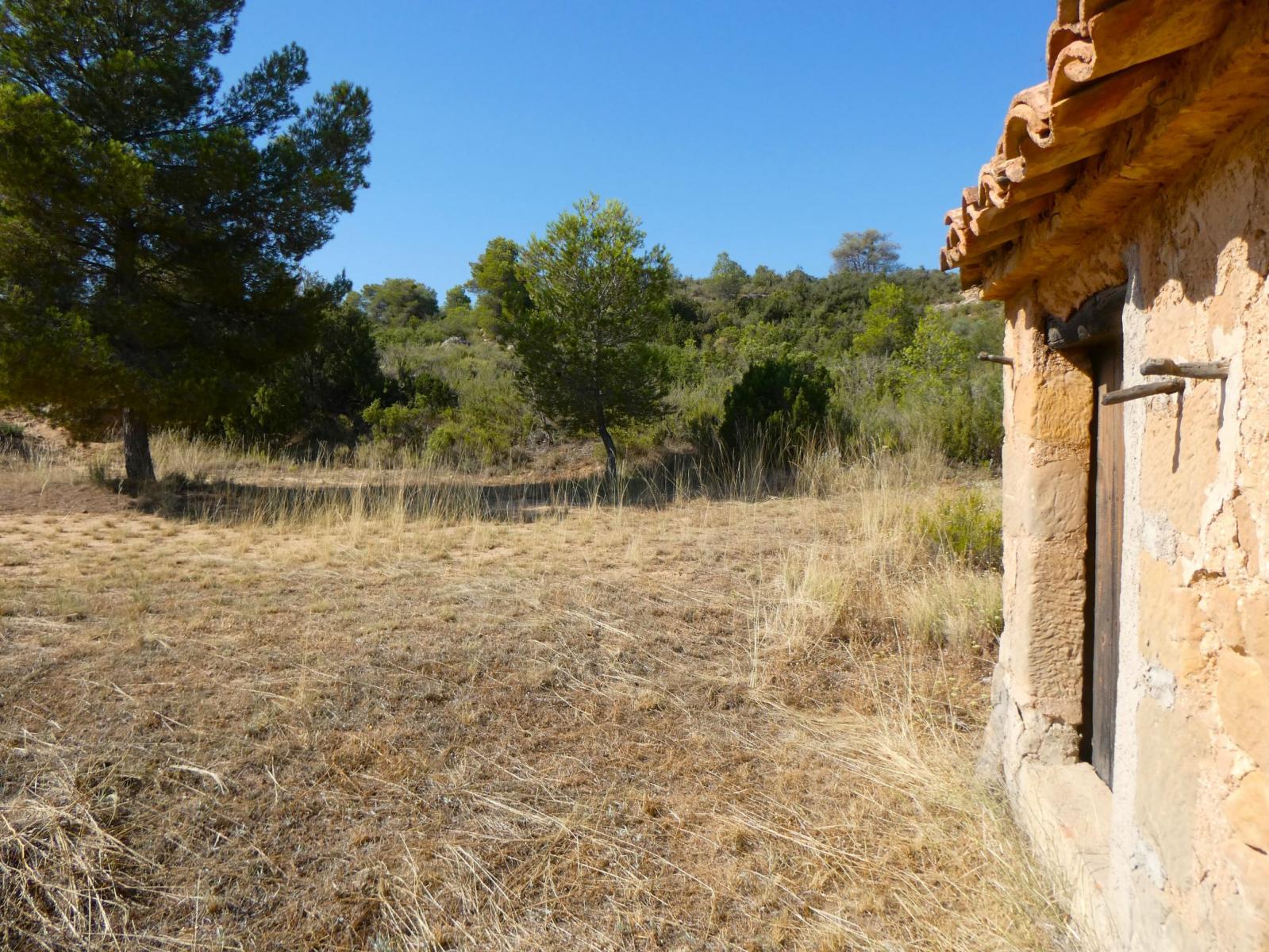 Finca en Venta en Maella