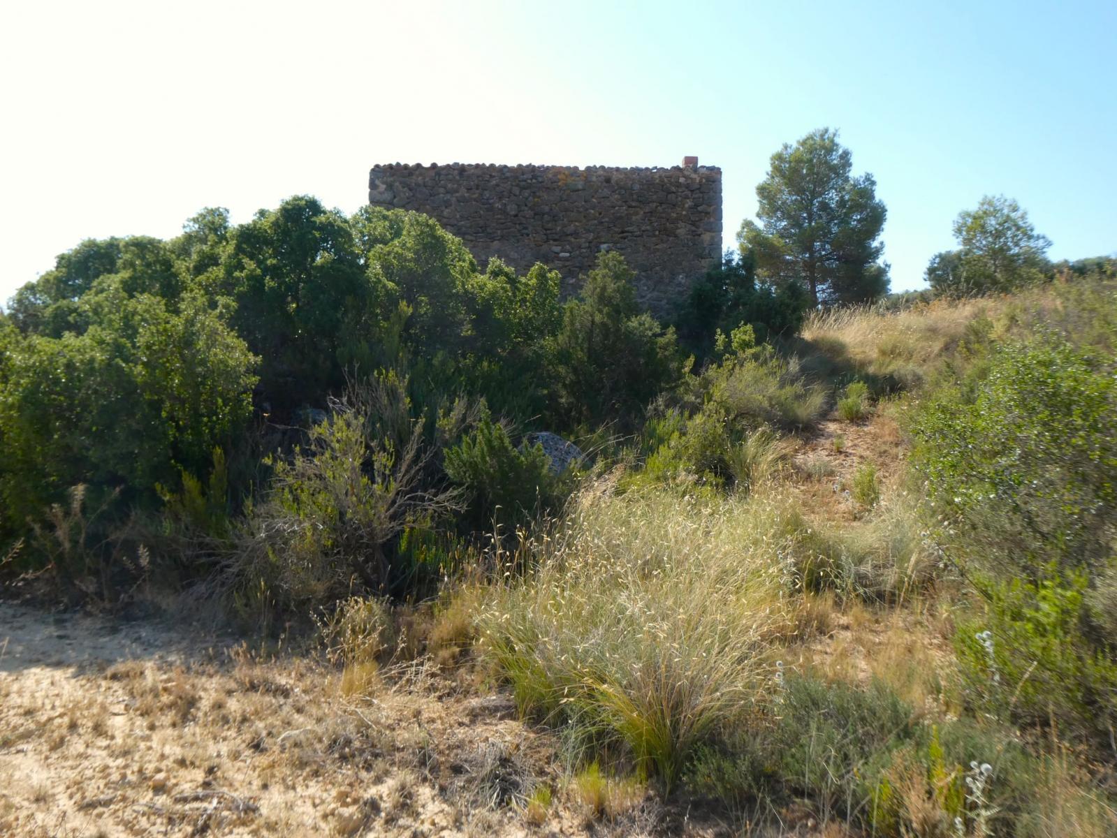 Finca en Venta en Maella