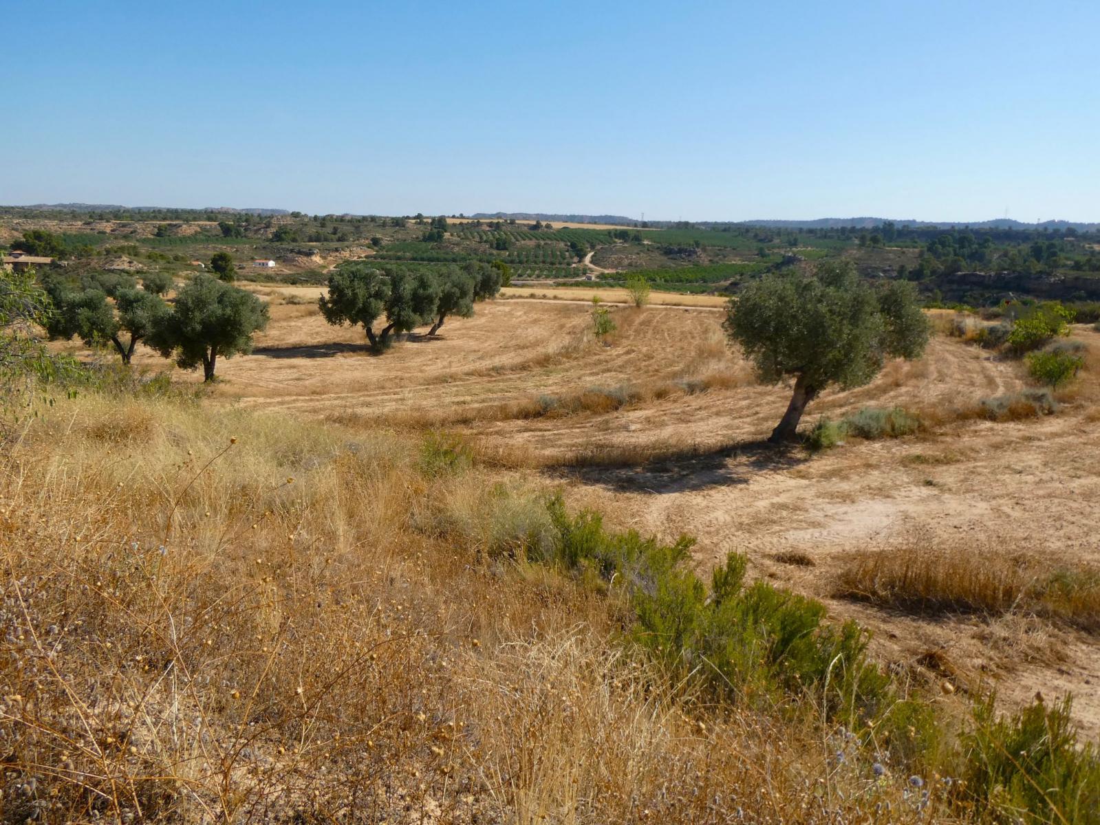 Finca en Venta en Maella