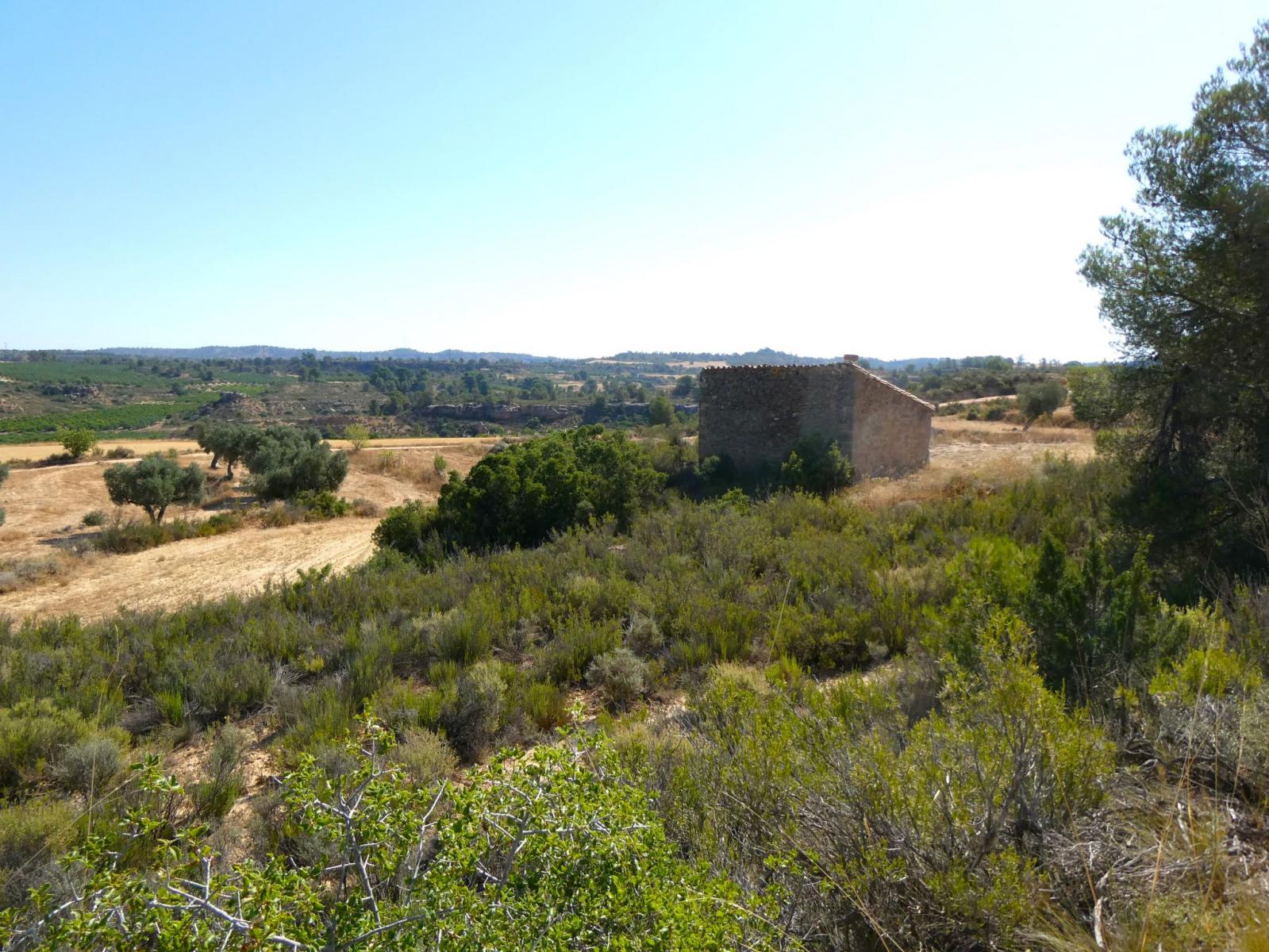 Finca en Venta en Maella