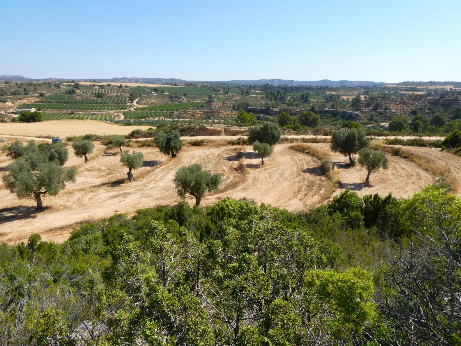 Finca en Venta en Maella