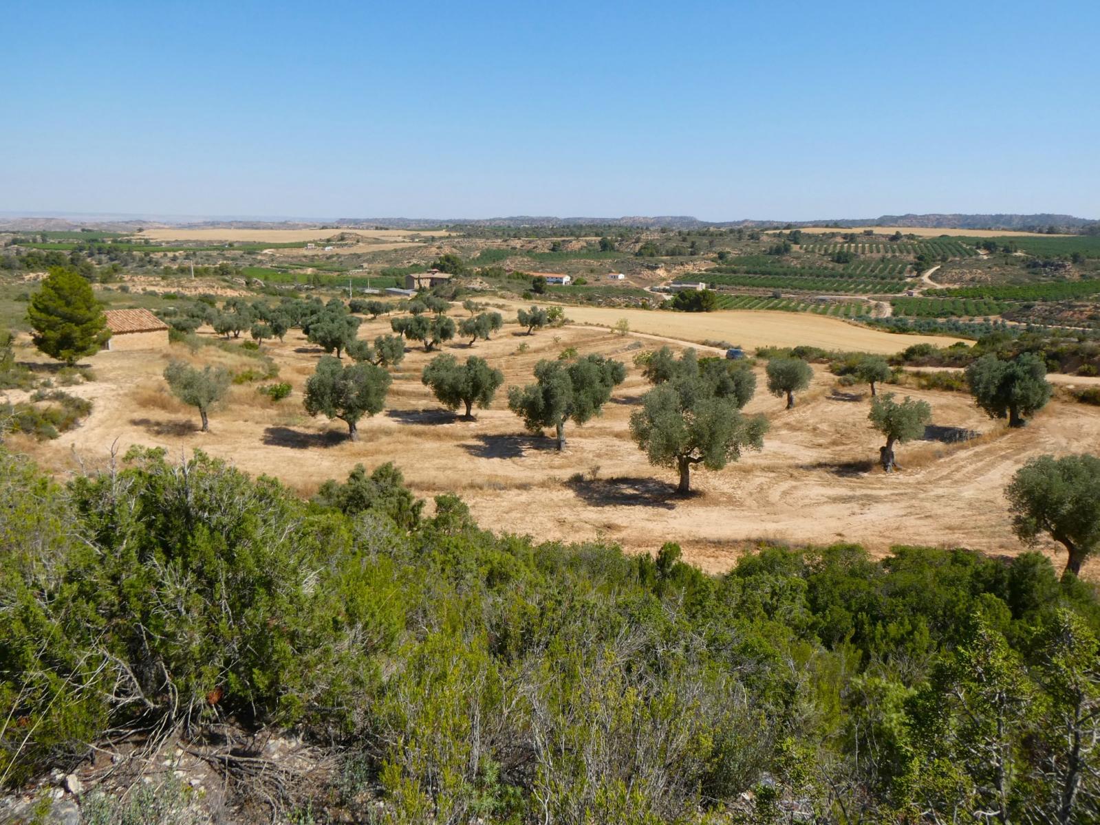Finca en Venta en Maella