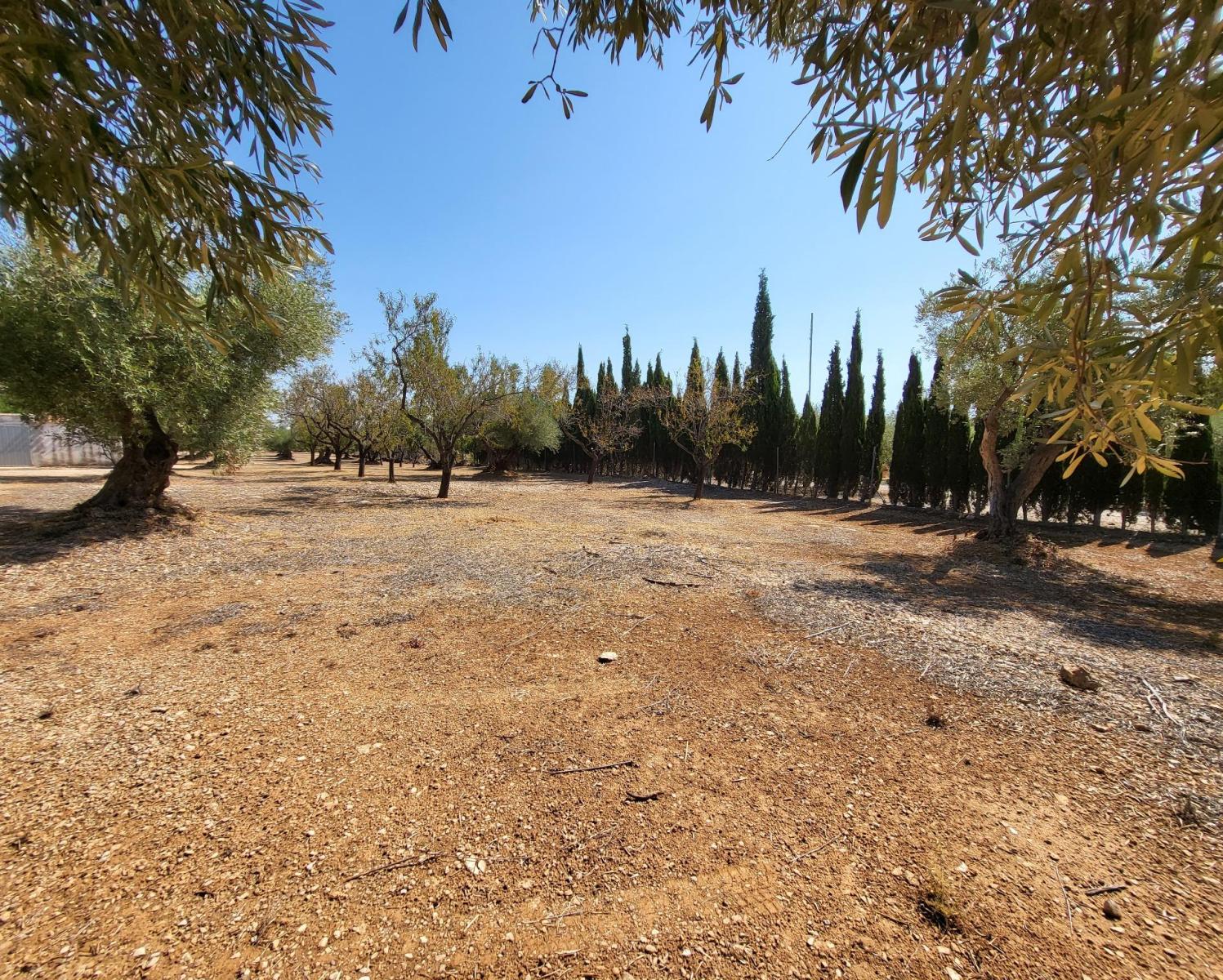 Finca en Venta en L' Ametlla de Mar