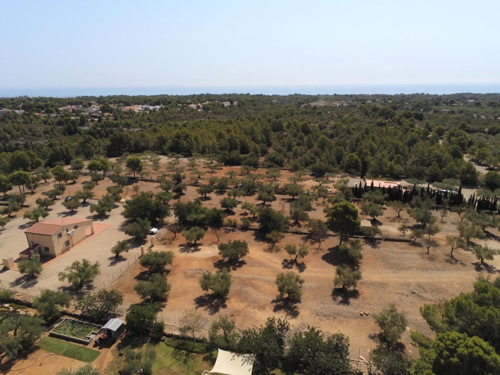 Finca en Venta en L' Ametlla de Mar
