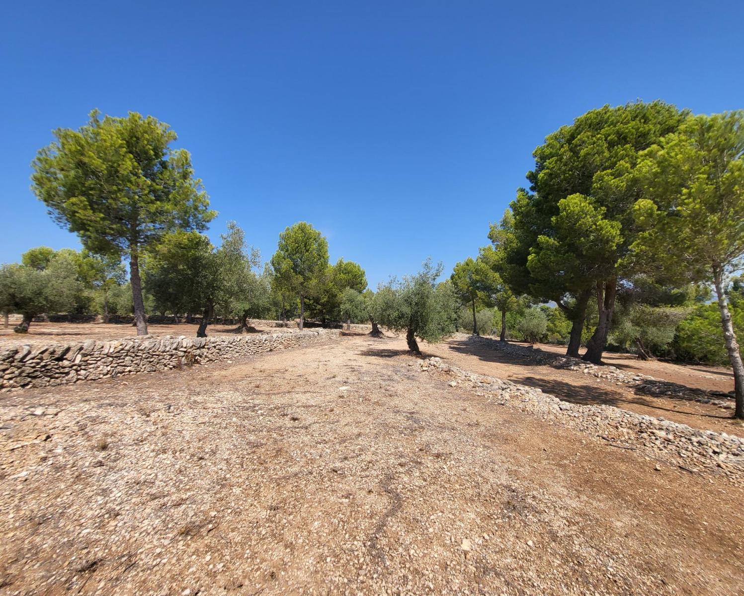 Finca en Venta en L' Ametlla de Mar