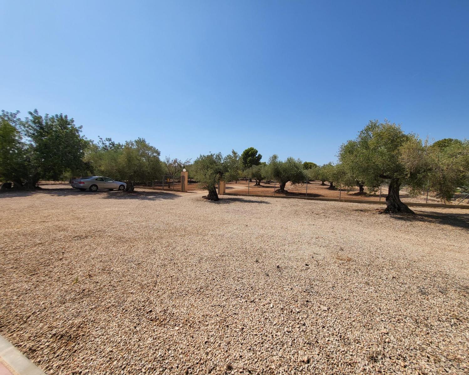 Finca en Venta en L' Ametlla de Mar