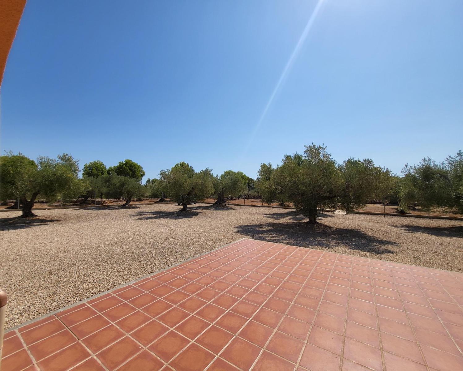 Finca en Venta en L' Ametlla de Mar