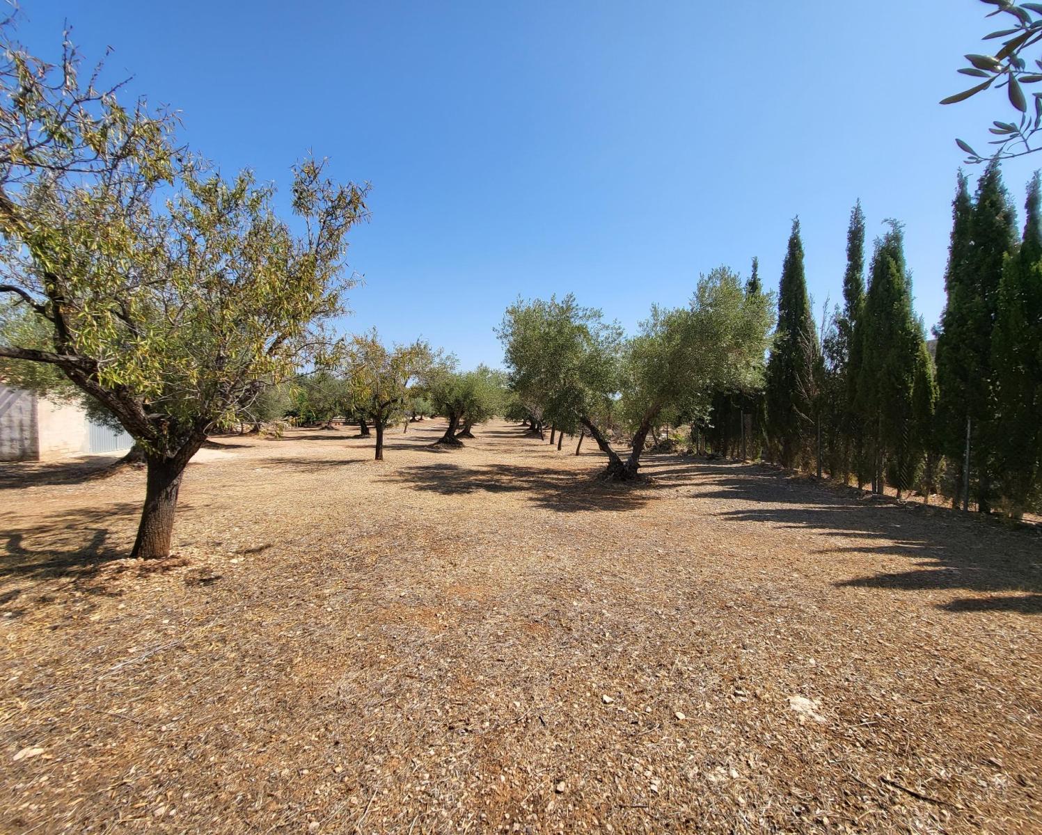 Finca en Venta en L' Ametlla de Mar