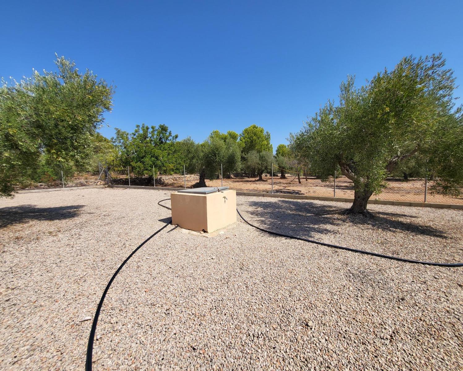 Finca en Venta en L' Ametlla de Mar