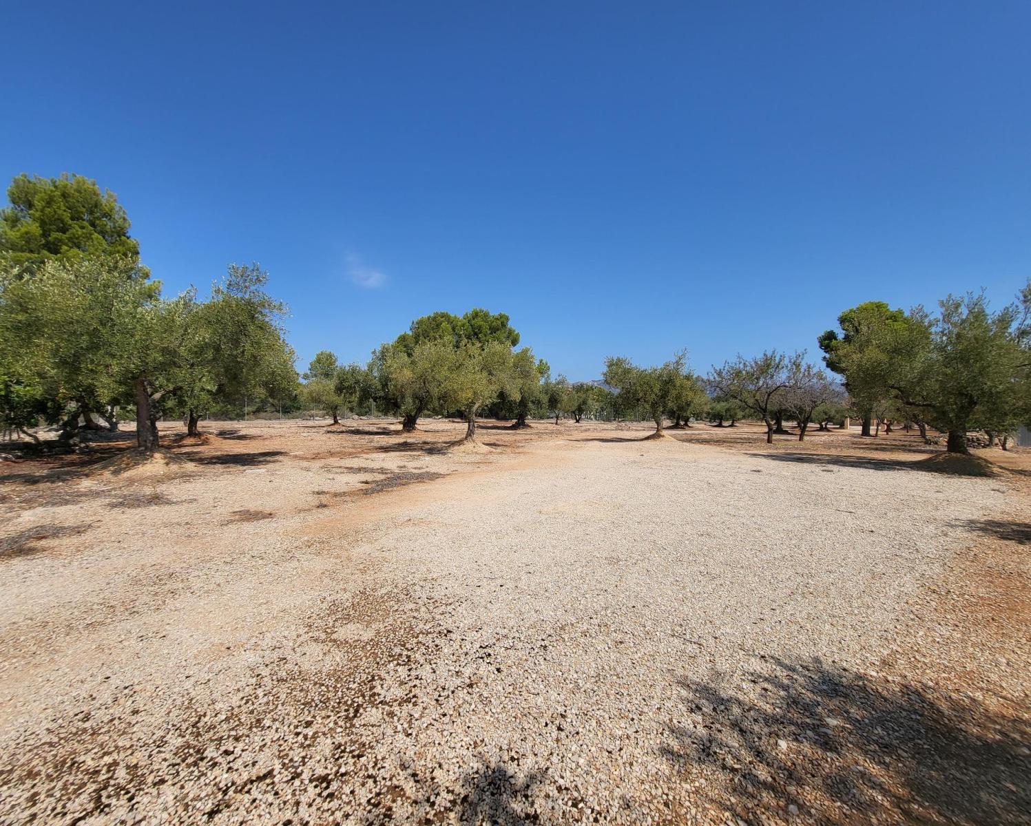Finca en Venta en L' Ametlla de Mar