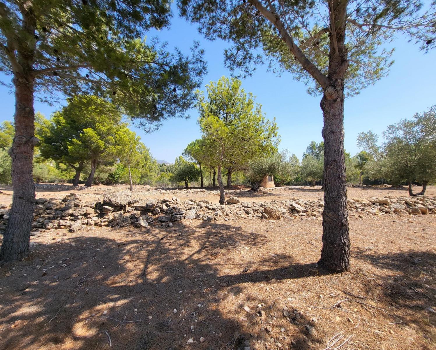 Finca en Venta en L' Ametlla de Mar