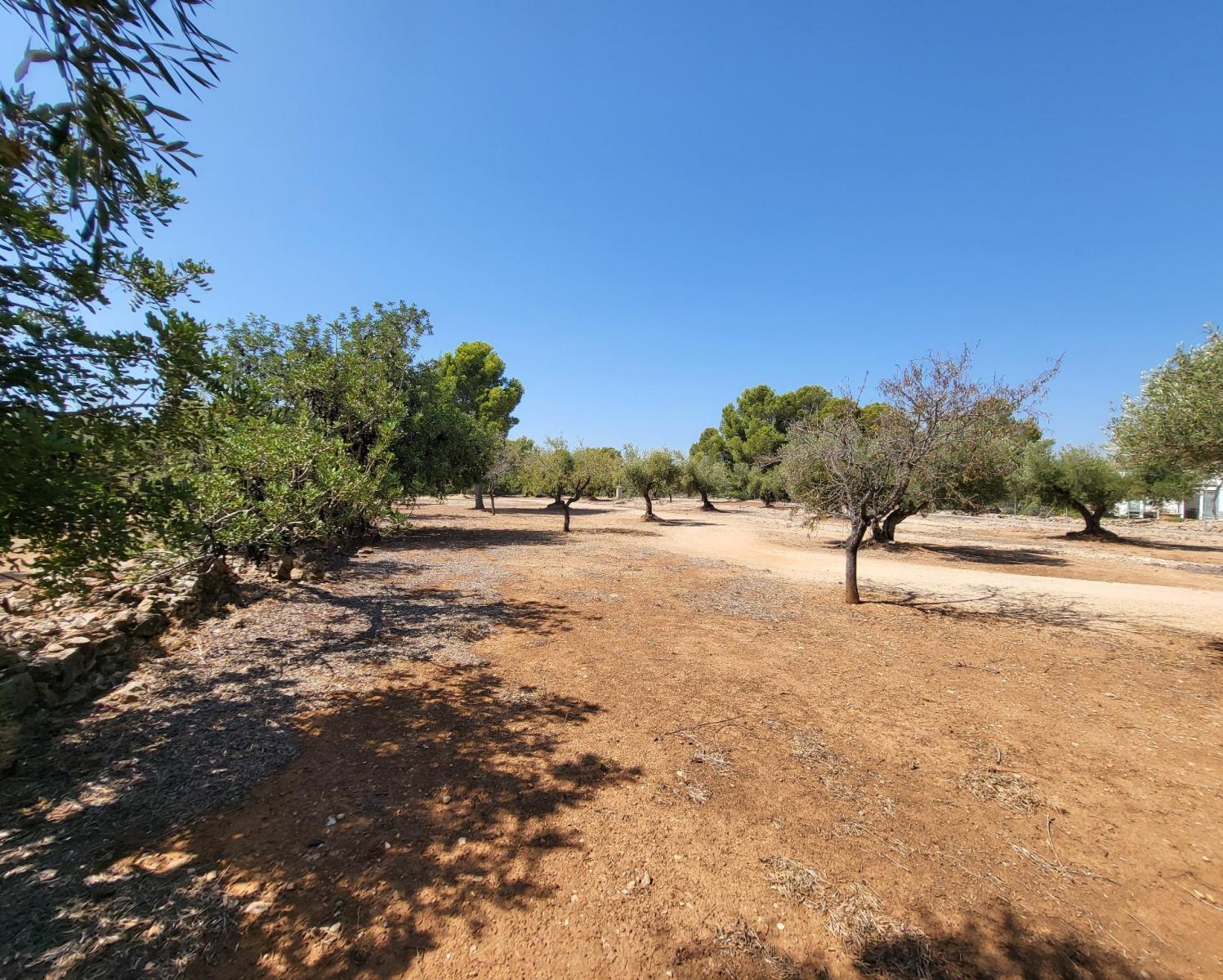 Finca en Venta en L' Ametlla de Mar