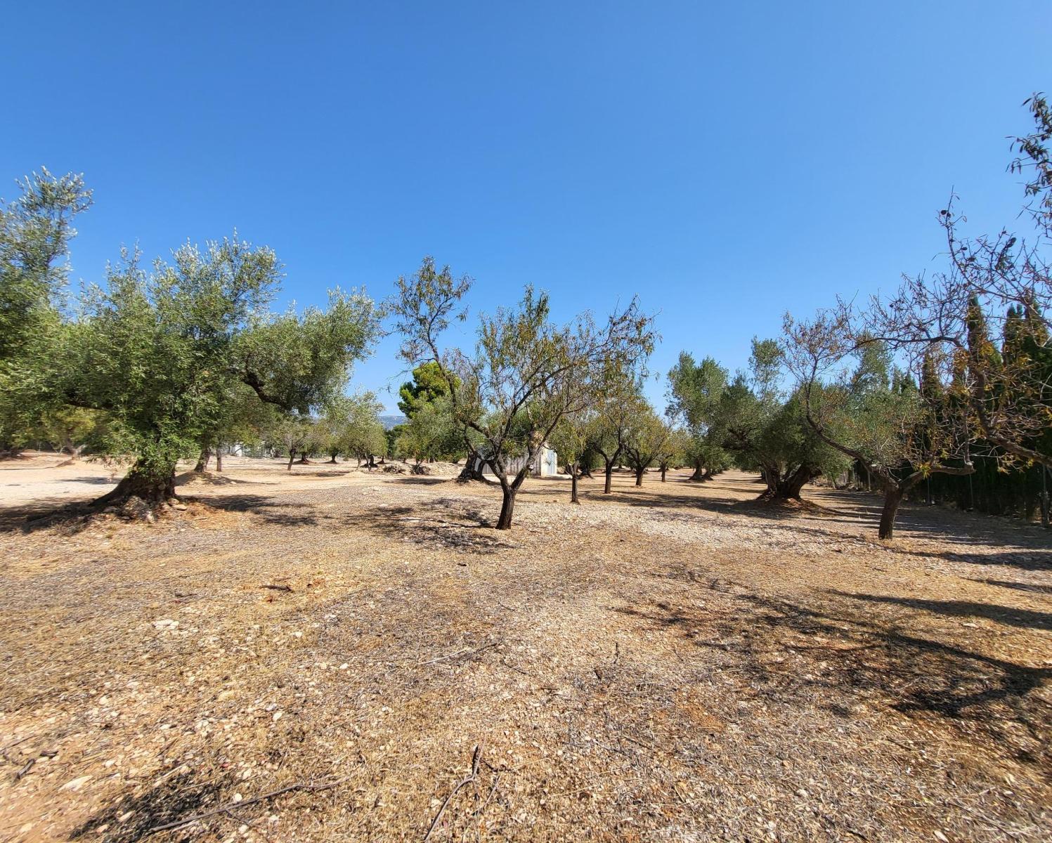 Finca en Venta en L' Ametlla de Mar