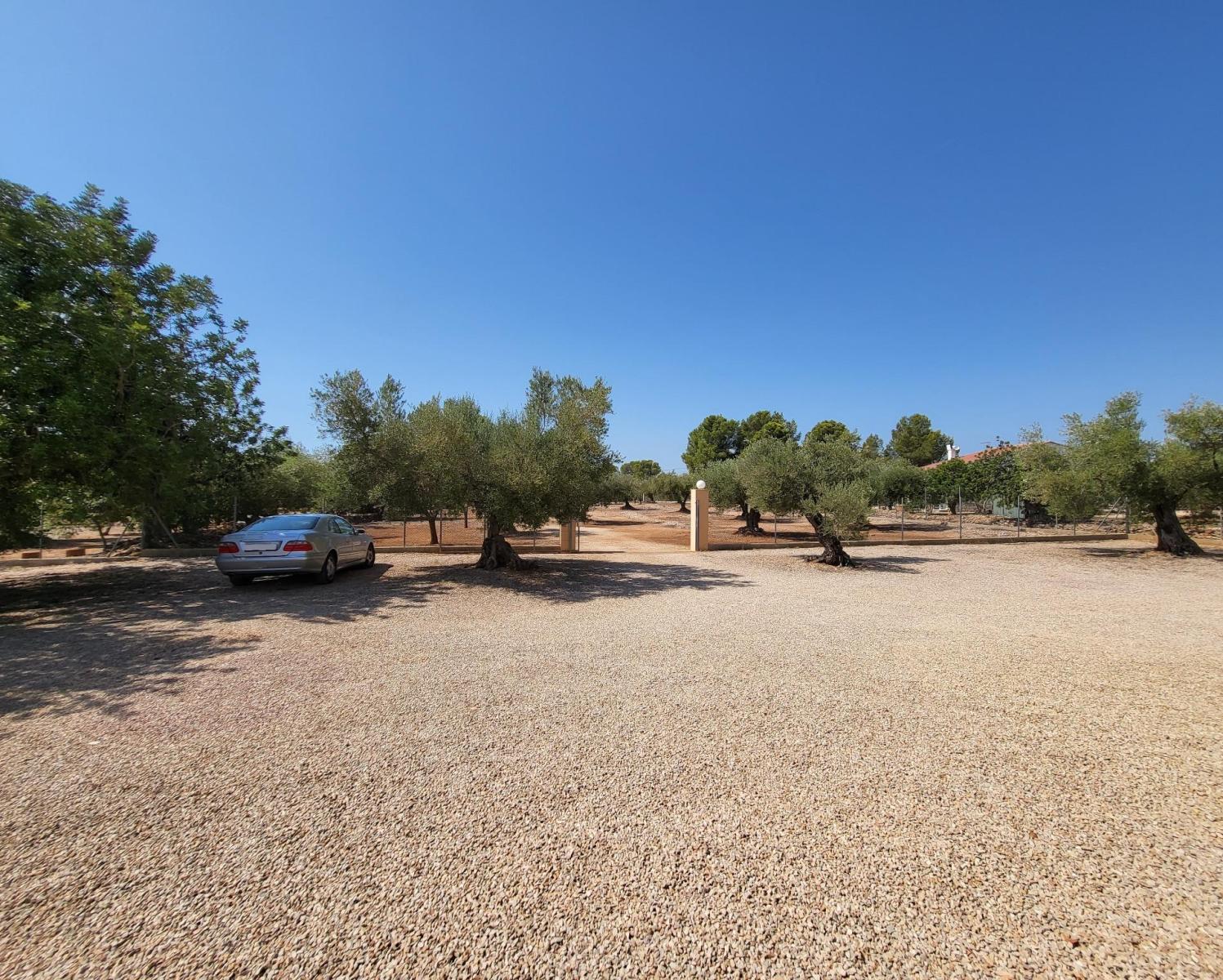 Finca en Venta en L' Ametlla de Mar
