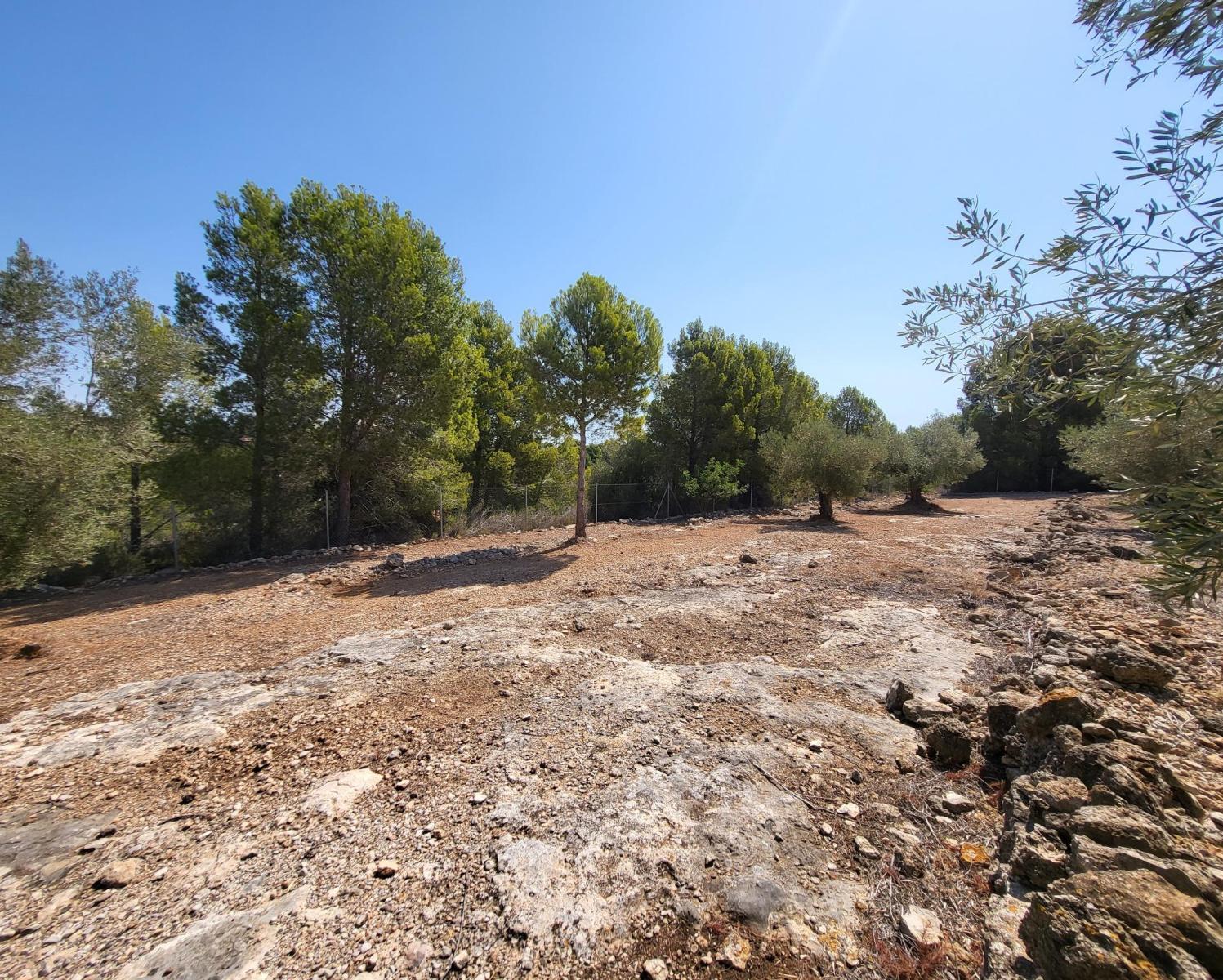 Finca en Venta en L' Ametlla de Mar