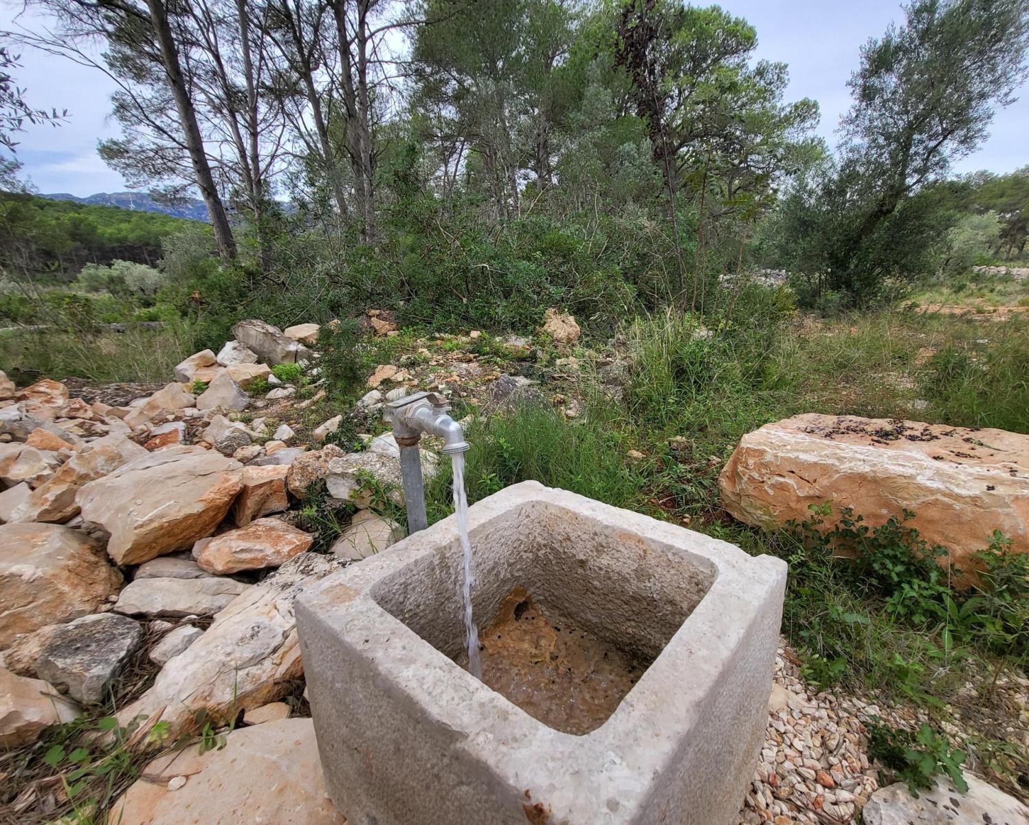 Finca en Venta en El Perelló