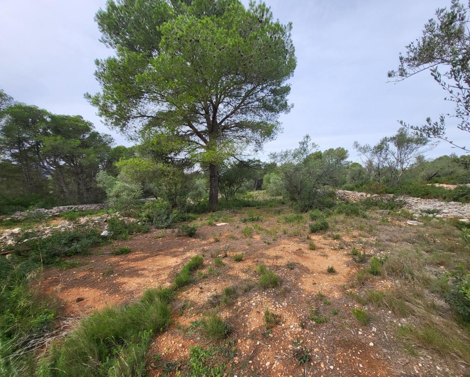 Finca en Venta en El Perelló