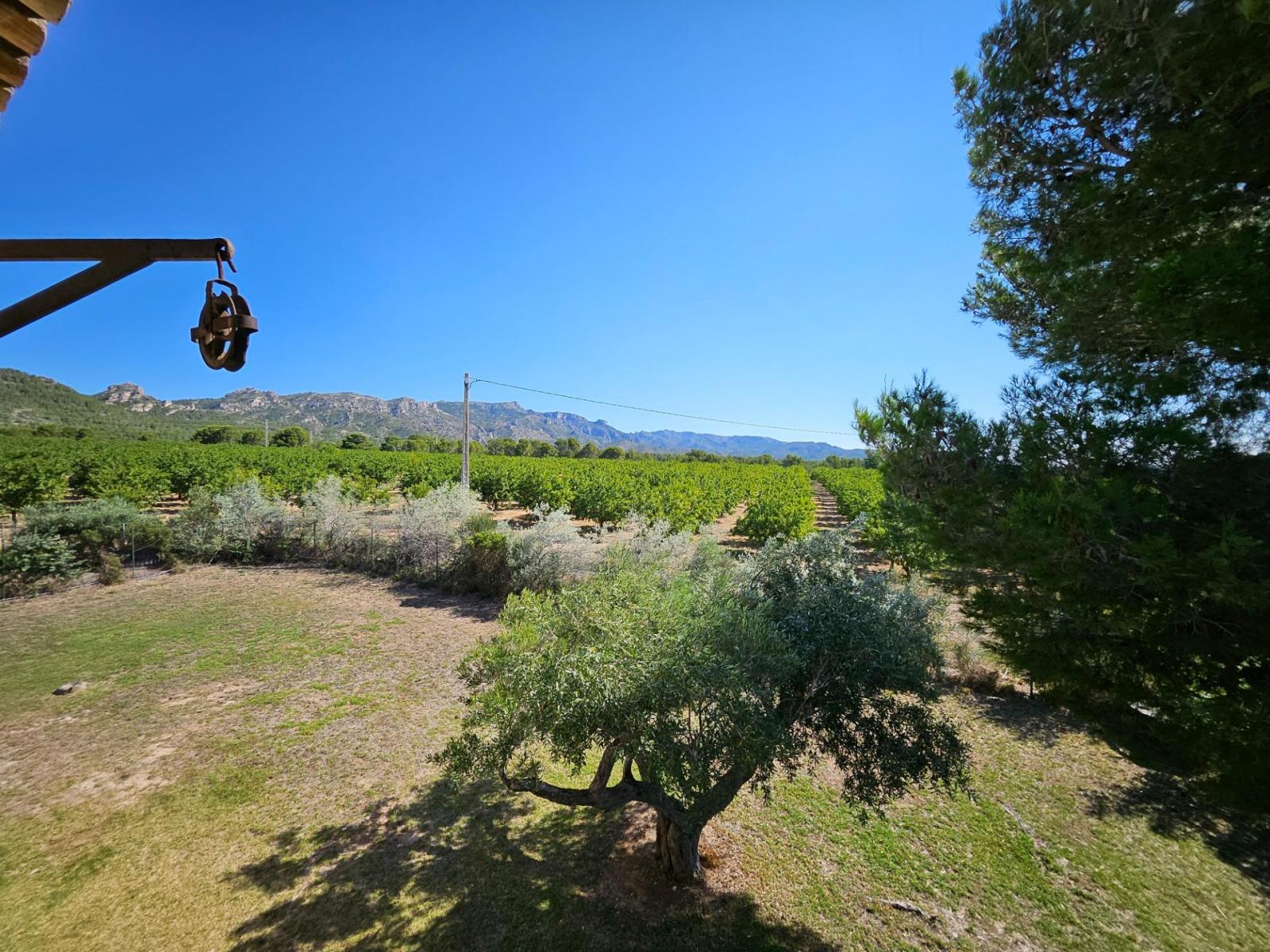 Finca en Venta en L' Ametlla de Mar