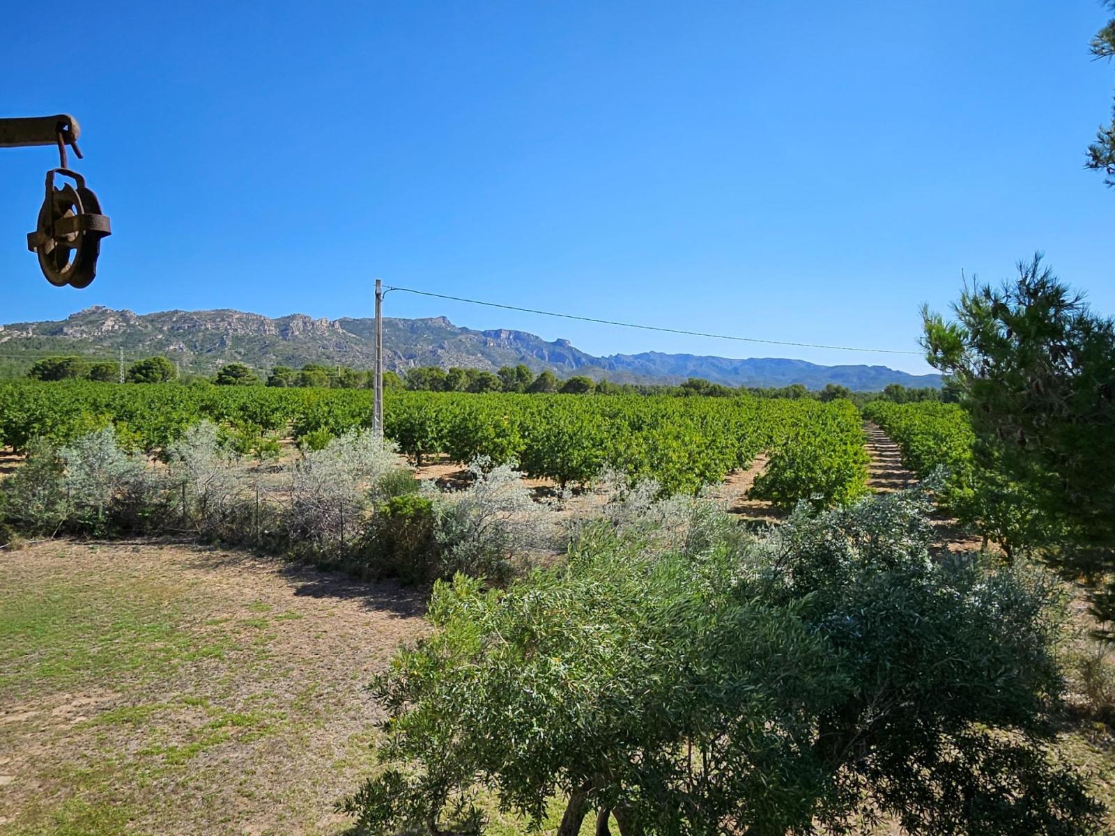 Finca en Venta en L' Ametlla de Mar